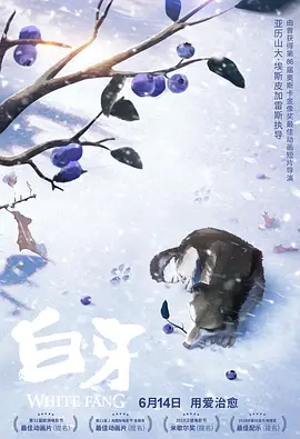 最新在线观看av网站